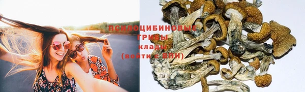 винт Осинники