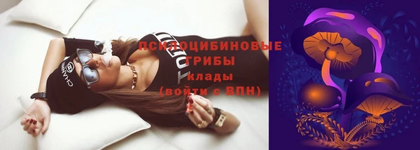 винт Осинники