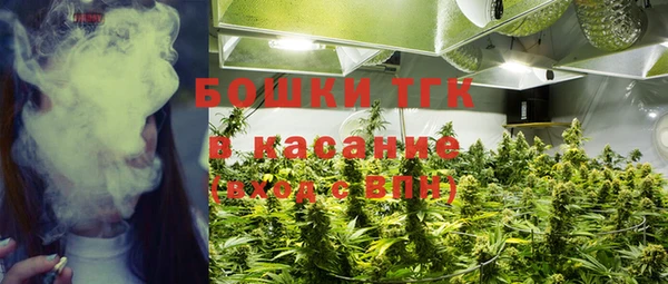 винт Осинники
