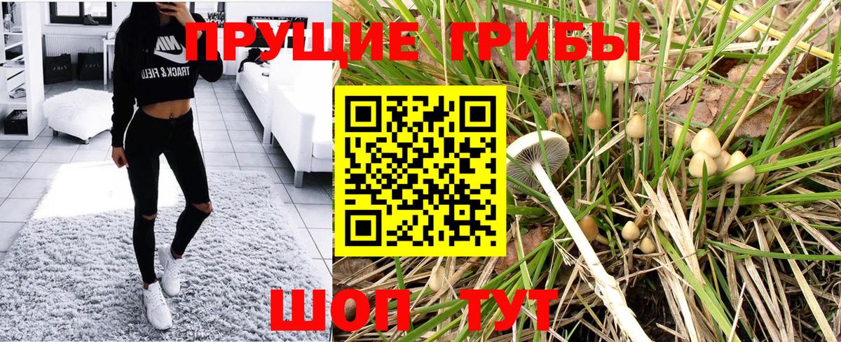 Псилоцибиновые грибы GOLDEN TEACHER  Вход с VPN  Нягань 